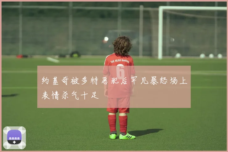 约基奇被多特恶犯后罕见暴怒场上表情杀气十足